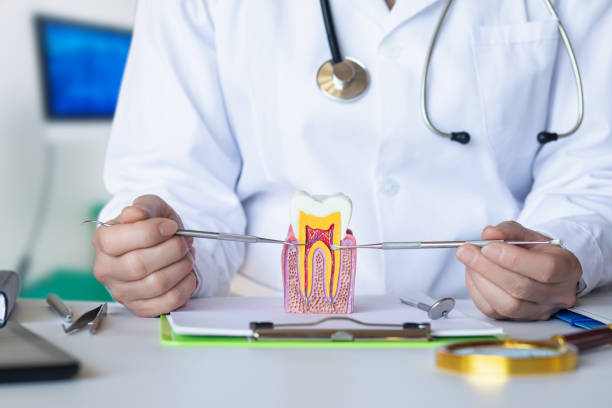 Best Emergency TMJ Treatment in Hyrum, UT